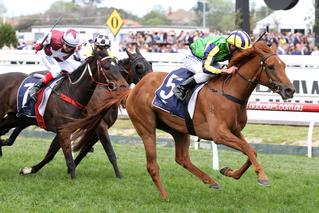 Ethereal's granddaughter Eleonora (NZ) winning the 2016 Ethereal Stakes.